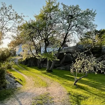 Irresistible Gem In Hvaler