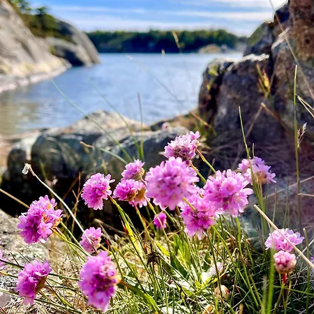 Irresistible Gem In Hvaler Сasa de vacaciones